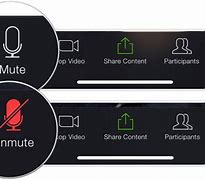 Image result for Mute Button On Zoom Computer