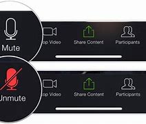 Image result for Zoom Mute All