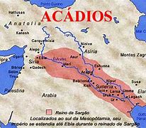 Image result for acodia