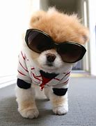 Image result for Realistic Moving Toy Dog