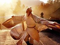 Image result for Kung Fu Master
