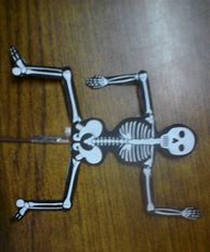 Image result for How to Make Skeleton