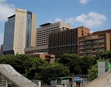 Image result for Tokyo Medical University