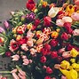 Image result for Flower Wallpaper HD