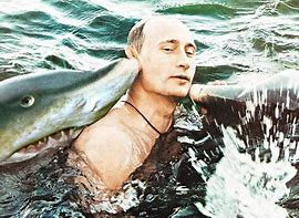 Image result for Russia Nafo Shark Cap Meme