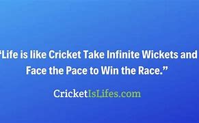 Image result for Cricket Wicket Saying