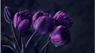 Image result for Beautiful Dark Flower Art