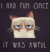 Image result for Cartoon Grumpy Cat Quotes