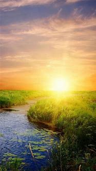 Image result for iPhone Wallpaper Bright Day