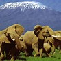 Image result for Best National Parks in Kenya