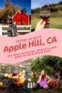 Image result for High Hill Apple's