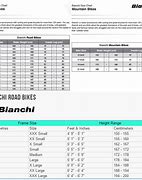 Image result for Bianchi Holster Size Chart