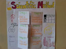 Image result for Scientific Method Experiments Examples