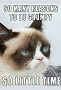 Image result for Grumpy Cat Meme Angry