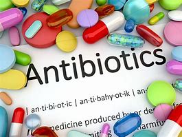 Image result for Scintes Obat Antibiotik