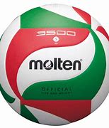 Image result for Molten Volleyball Logos