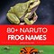 Image result for Pepe the Frog Naruto