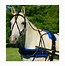 Image result for Horse Harness Saddle