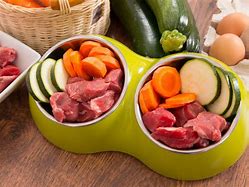 Image result for Raw Meat Dog Food Diet