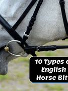 Image result for Riding Bits