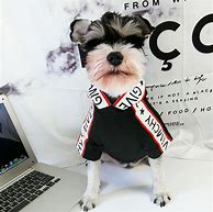 Image result for Givenchy Dog Sweater Show