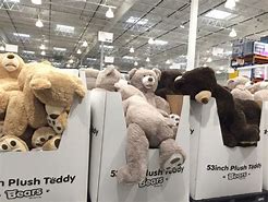 Image result for Big Teddy Bear Costco 53 Inch