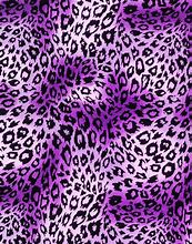 Image result for Cheetah Print Pattern