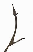 Image result for Abstract Metal Sculpture Garden