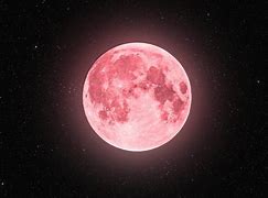 Image result for Lune Rose Images
