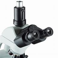 Image result for 2000X Microscope