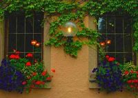 Image result for Window Garden View