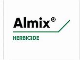 Image result for almix�n