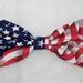 Image result for American Flag Bow