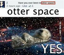 Image result for Otter Space Meme