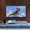 Image result for 39 Inch TV in a Room