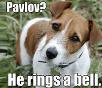 Image result for Very Funny Dog Jokes