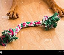 Image result for Dog Chew Toy Wood