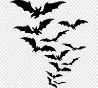 Image result for Bat Black Background