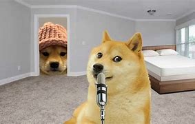 Image result for Dog with Hat Meme 1080 by 1080