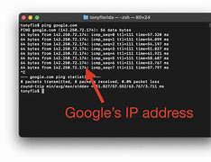 Image result for Ping Command Prompt