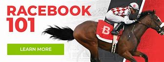 Image result for Horse Racing Bet Types