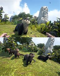 Image result for Ark Otter Taming Location