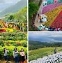 Image result for 500 Square Meters Garden Philippines