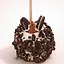 Image result for gourmet candy apple