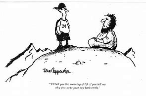 Image result for Meaning of Life Cartoon