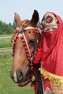 Image result for Arabian Horse Saddles