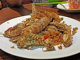 Image result for Cooked Isopod