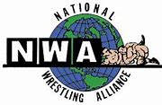 Image result for NWA Pro Wrestling Logo