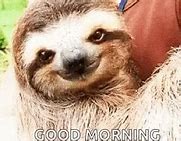 Image result for Smiling Sloth Meme
