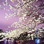 Image result for Tokyo-Osaka